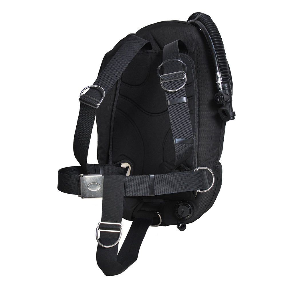 rear view of a modular backplate wing BCD system